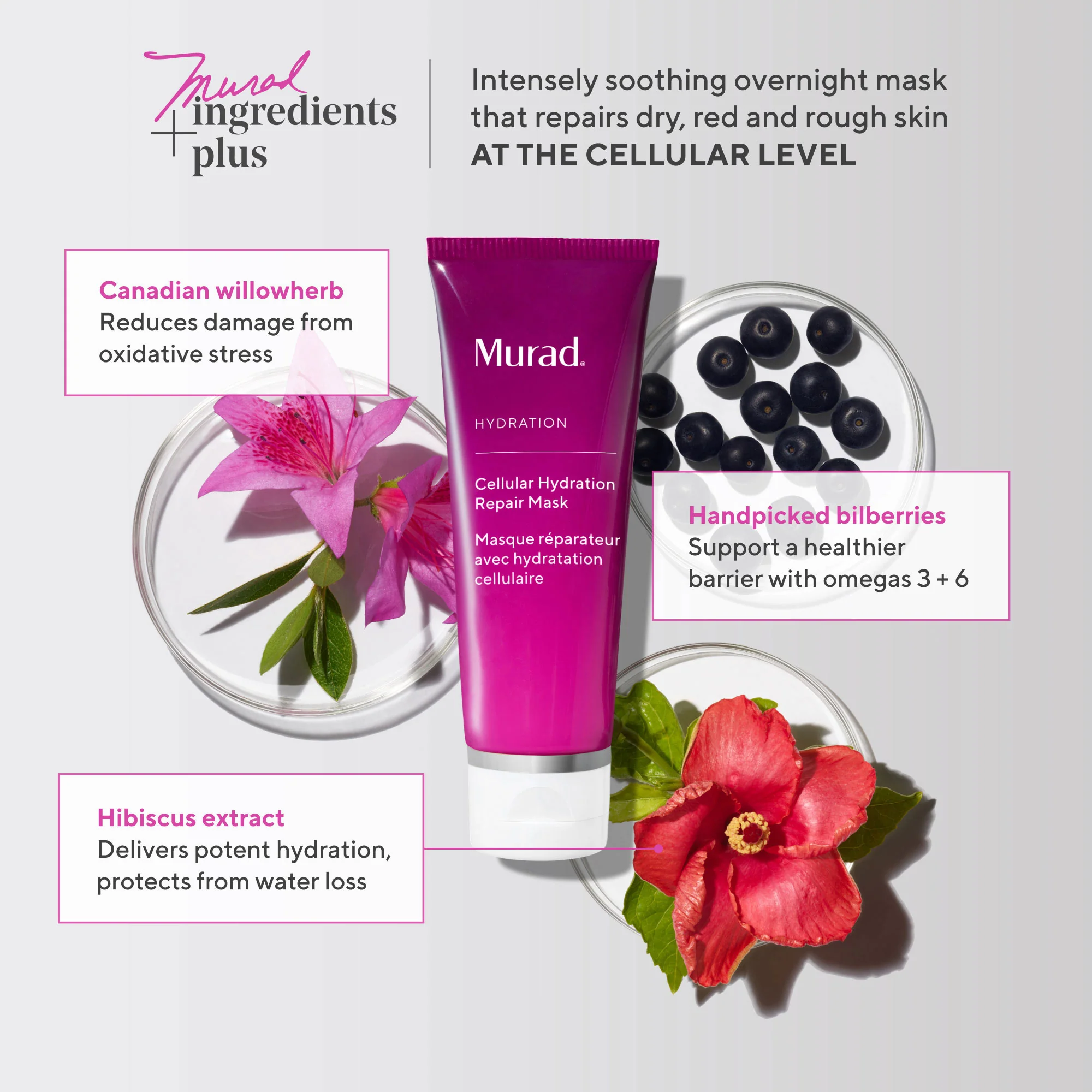 Cellular Hydration Barrier Repair Sleep Mask - Image 4